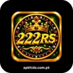 222RS Game